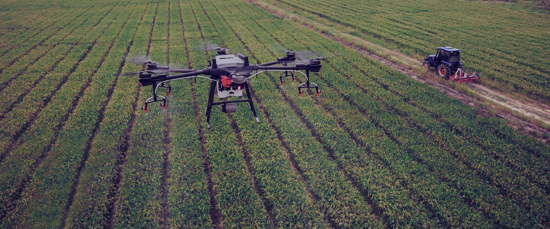 Drone surveillant un champs