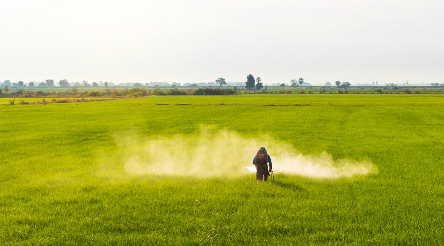 man spreading pesticides via a handheld device in a field