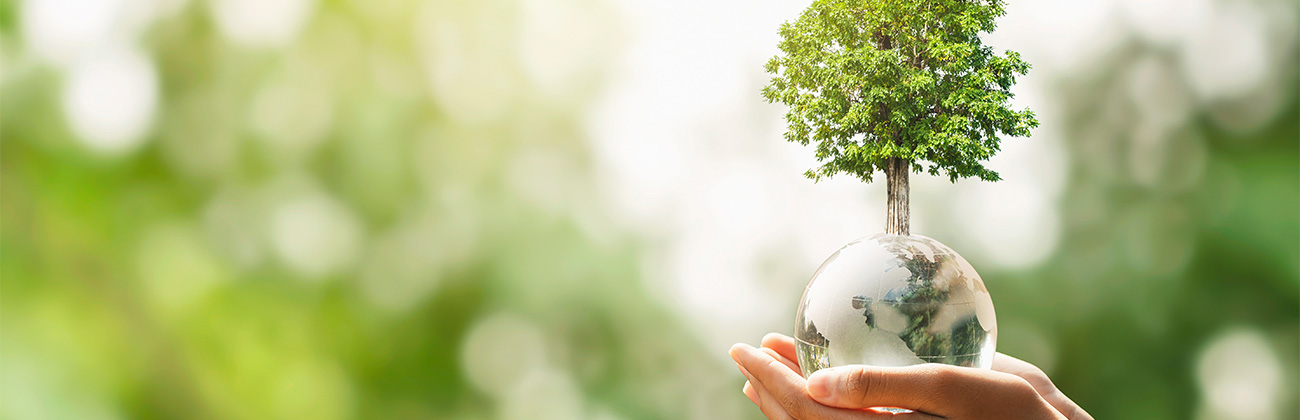 main tenant une boule représentant la terre avec un arbre qui pousse et un arrière-plan flou de nature verte. concept écologique