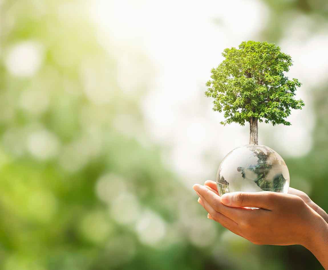 main tenant une boule représentant la terre avec un arbre qui pousse et un arrière-plan flou de nature verte. concept écologique