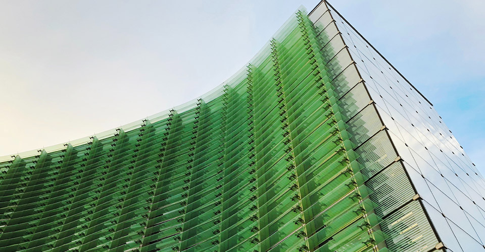 Visuel d'un bâtiment vert 