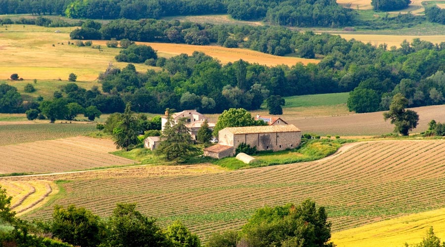 farm in a rural landscape