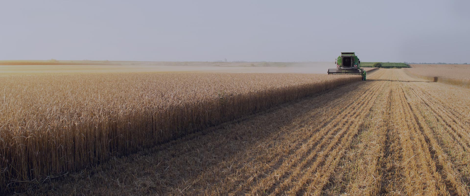 moissonneuse sur un champs de blé