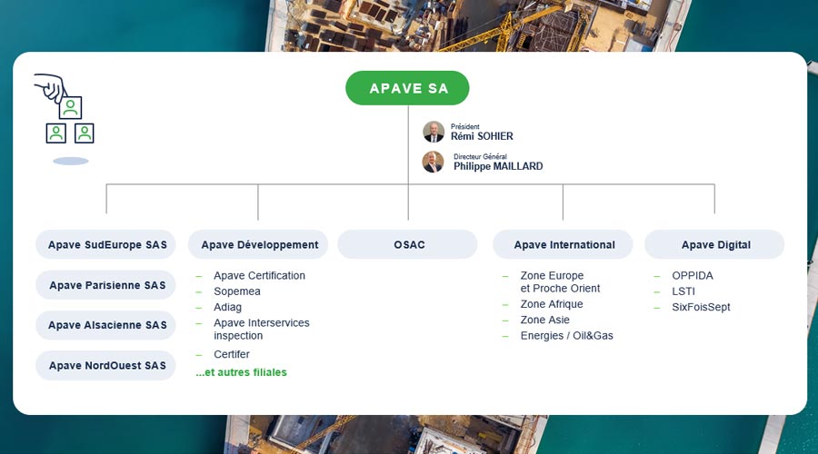 organization chart of the Apave group