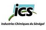 Logo-ICS